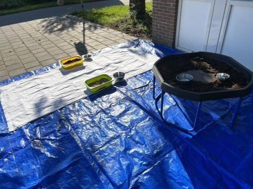 Toen was alles nog schoon.