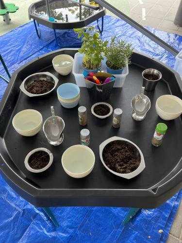 Kruiden ontdek tafel