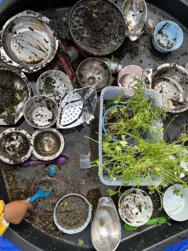 Kruiden ontdek tafel