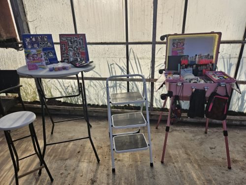 't Vrolijke Snoetje, tijdens de Family Fun XXL