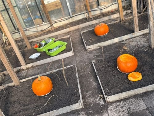 Pompoenen moddersoep maken