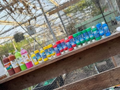 Family Fun XXL bij Onze Kas